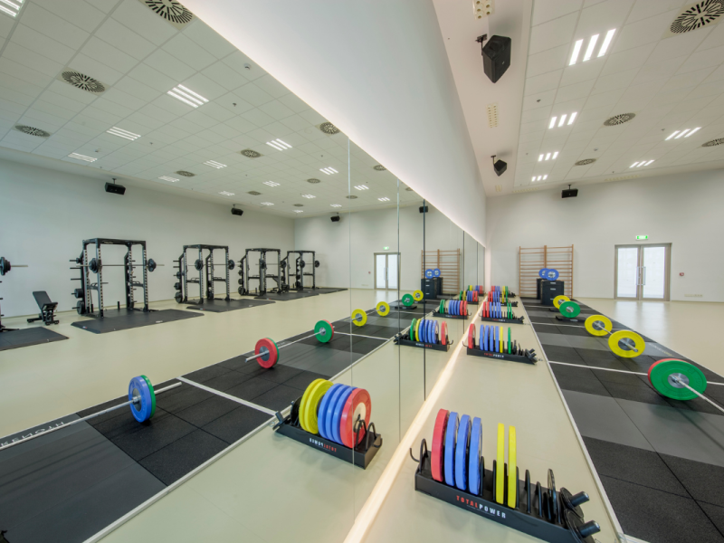 gloriasportarena8.png gloriasportarena8.png