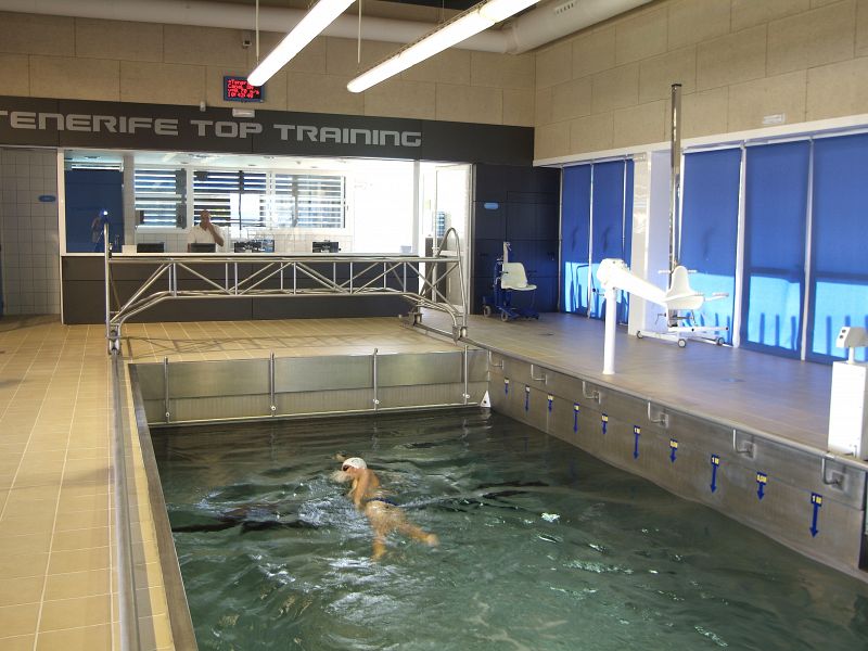 counter-current-pool-of-the-tz-leipzig-in-tenerife-top-training.jpg